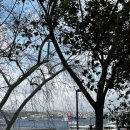 무화과민박 이미지