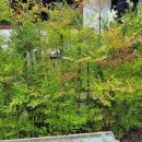 도산서원&예끼마을테마 이미지