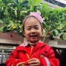 유진2농장 이미지