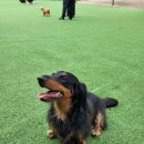 인천개공원 카페 이미지