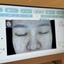 홍당무 | 서초피부관리 ‘자월에스테틱’ 홍당무힐러 솔직후기