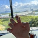 슈비씨네일