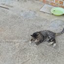 우항공원 이미지