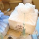 바닐라코튼 Vanilla Cotton 이미지