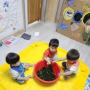 건겅한반 7월2주 놀이사진입니다♡3-미역놀이 이미지