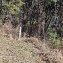 봉산면006 Daum카페