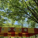 갯촌칼국시 이미지