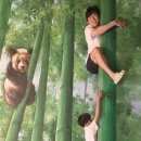 르메종제주
