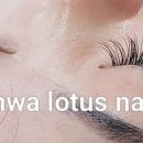 연화네일