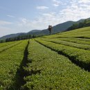 대한농장2 이미지