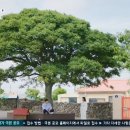 일과2리경로당 이미지