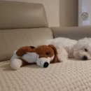 농업회사법인 푸디웜(주) 이미지