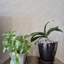 박영재 동물병원 | 고양이를 부탁해-신부님과 14마리 고양이 (EBS1 방영, 2025.10.03.)