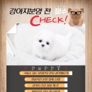 강아지천국 이미지