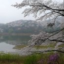 호암의원 이미지