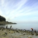 태안바다 이미지