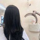 리체헤어 이미지