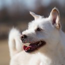 장유동물병원 이미지