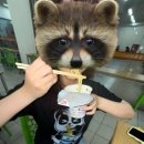 세븐일레븐 여주태평대로점 | 대만 교환일기 2(개강/ 수영장 등록/ 시먼딩/ 랜턴 페스티벌/ 야시장/ 영화관/ 취두부../ 야끼니꾸...