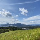 자라목장 이미지