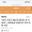 “파리 가려고 했는데 발리도 못 가겠네”...대한항공 마일리지 가치 대폭 삭감 이미지