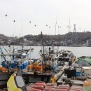 더힐링포차 이미지