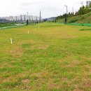 하대둔치 생활체육시설 파크골프장 이미지