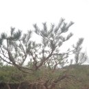 영민농장 이미지