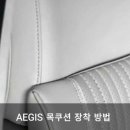 오토이지스
