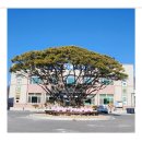 무릉도원면사무소 이미지