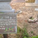 장등경로당 이미지