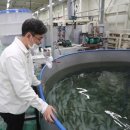 강원도내수면자원센터 이미지