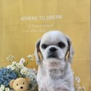 댕곤댕곤 이미지