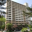 느티나무길>금강공원길 이미지