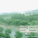 카페니니스 이미지
