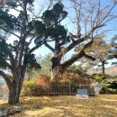 입암서원 앞 이미지