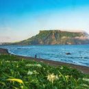 춤으로의 여행 이미지