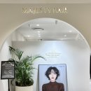 부산 서면미용실 마제스티 헤어 중단발 레이어드펌 &amp; 페이크 블랙 염색 후기