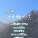 화천시티투어(평화누리호) 네이버블로그