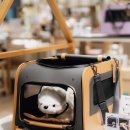 대로상회 이미지