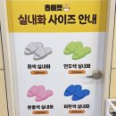 교연로 | 충북혁신도시 아이랑 갈만한 곳 실내 고양이 카페 쵸이캣