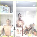 최강간호학원 | 인천간호학원 최강 간호학원 합격생 뜨거운 열기