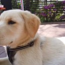 승자농장 이미지