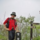 출렁다리(4) 이미지