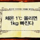 이현핏 이미지