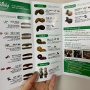 광주-송정-8 | 광주 쑥스초코파이 선물하기 좋은 송정역 디저트 맛집 후기