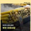 봉수니네