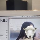 닷닷닷 이미지