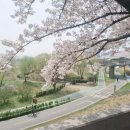 25년 새해 맞이하며🙏 돌아본 24년 기록들☀️