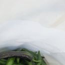 실버체육건강지도 이미지